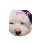 いやしのららまる（個別スタンプ：2）