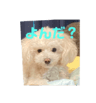 いやしのららまる（個別スタンプ：3）