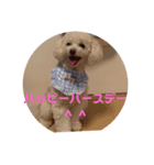 いやしのららまる（個別スタンプ：4）