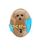 いやしのららまる（個別スタンプ：8）