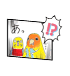 インコのコメとあずきとゆかいな仲間たち②（個別スタンプ：26）