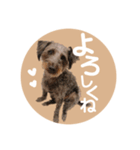 :) with_corona / 1（個別スタンプ：2）