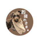 :) with_corona / 1（個別スタンプ：3）