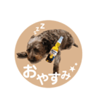 :) with_corona / 1（個別スタンプ：10）