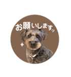 :) with_corona / 1（個別スタンプ：11）