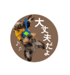 :) with_corona / 1（個別スタンプ：15）