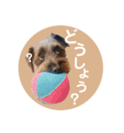 :) with_corona / 1（個別スタンプ：16）