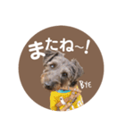 :) with_corona / 1（個別スタンプ：17）