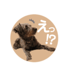 :) with_corona / 1（個別スタンプ：18）