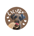 :) with_corona / 1（個別スタンプ：21）