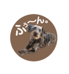 :) with_corona / 1（個別スタンプ：23）