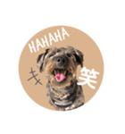:) with_corona / 1（個別スタンプ：24）