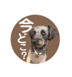 :) with_corona / 1（個別スタンプ：25）