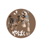 :) with_corona / 1（個別スタンプ：27）
