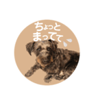 :) with_corona / 1（個別スタンプ：28）