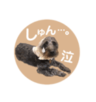 :) with_corona / 1（個別スタンプ：34）