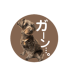 :) with_corona / 1（個別スタンプ：38）