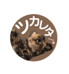 :) with_corona / 1（個別スタンプ：39）