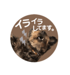 :) with_corona / 1（個別スタンプ：40）