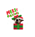むぎちゃんのクリスマス＆お正月（個別スタンプ：1）