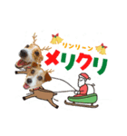 むぎちゃんのクリスマス＆お正月（個別スタンプ：5）