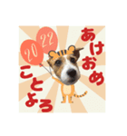むぎちゃんのクリスマス＆お正月（個別スタンプ：7）