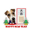 むぎちゃんのクリスマス＆お正月（個別スタンプ：8）