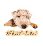 ナッツくん4（個別スタンプ：3）