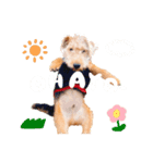 ナッツくん4（個別スタンプ：6）