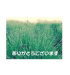 Hana・Square全種①（個別スタンプ：5）
