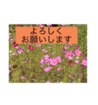 Hana・Square全種①（個別スタンプ：10）