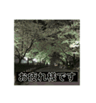 Hana・Square全種①（個別スタンプ：12）