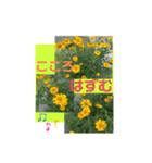 Hana・Square全種①（個別スタンプ：27）