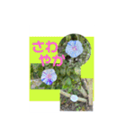 Hana・Square全種①（個別スタンプ：28）