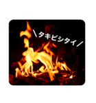＼焚き火で火育／（個別スタンプ：1）