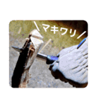 ＼焚き火で火育／（個別スタンプ：17）