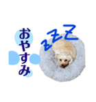 しるこ①（個別スタンプ：2）