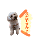 しるこ①（個別スタンプ：5）