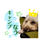 しるこ①（個別スタンプ：8）