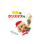 モコちゃんクリスマス＆お正月（個別スタンプ：2）