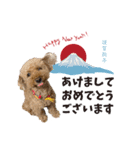 モコちゃんクリスマス＆お正月（個別スタンプ：3）