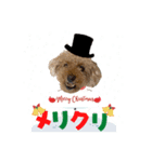 モコちゃんクリスマス＆お正月（個別スタンプ：7）