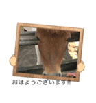 animalランド（個別スタンプ：2）
