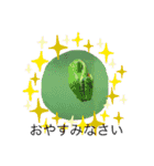 animalランド（個別スタンプ：5）