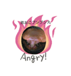 animalランド（個別スタンプ：6）