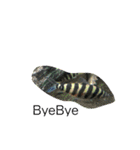 animalランド（個別スタンプ：15）
