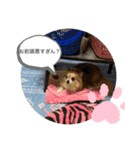 【りにゅーある♡】るきるきスタンプ♡（個別スタンプ：2）