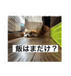 【りにゅーある♡】るきるきスタンプ♡（個別スタンプ：3）