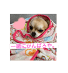 【りにゅーある♡】るきるきスタンプ♡（個別スタンプ：6）
