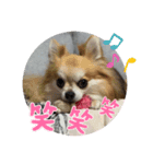 【りにゅーある♡】るきるきスタンプ♡（個別スタンプ：7）
